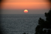 Enlarge photo 317