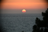 Enlarge photo 318