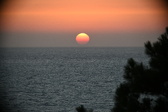 Enlarge photo 319