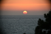 Enlarge photo 320