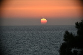 Enlarge photo 321
