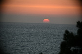 Enlarge photo 322
