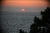Enlarge photo 323
