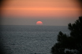 Enlarge photo 324