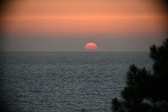 Enlarge photo 325