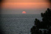 Enlarge photo 326