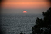 Enlarge photo 327