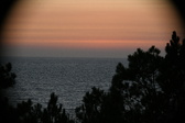 Enlarge photo 329