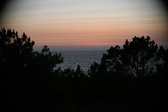 Enlarge photo 330