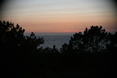 Enlarge photo 331