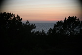 Enlarge photo 333
