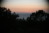 Enlarge photo 334