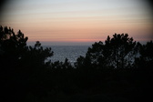 Enlarge photo 336
