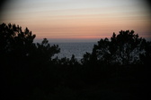 Enlarge photo 337