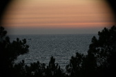 Enlarge photo 338