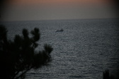 Enlarge photo 339