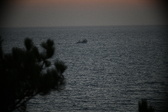 Enlarge photo 340
