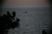 Enlarge photo 341
