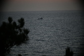 Enlarge photo 342