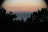 Enlarge photo 344