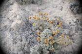 Enlarge photo 346