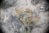 Enlarge photo 348