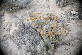 Enlarge photo 349