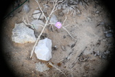 Enlarge photo 351