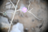 Enlarge photo 353