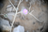 Enlarge photo 354