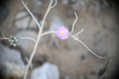 Enlarge photo 355