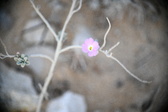Enlarge photo 356