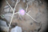 Enlarge photo 357
