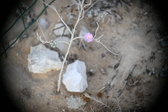 Enlarge photo 358