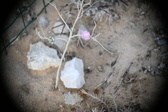 Enlarge photo 359