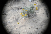 Enlarge photo 360