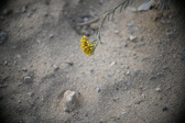 Enlarge photo 361
