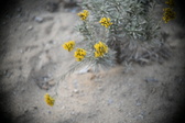 Enlarge photo 362