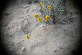 Enlarge photo 363