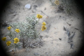 Enlarge photo 364