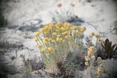 Enlarge photo 370