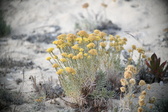 Enlarge photo 371