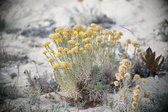 Enlarge photo 372