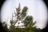 Enlarge photo 373