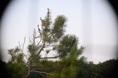 Enlarge photo 374