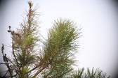 Enlarge photo 376