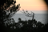 Enlarge photo 380