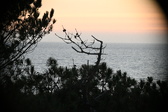 Enlarge photo 381