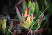Enlarge photo 383