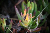 Enlarge photo 384